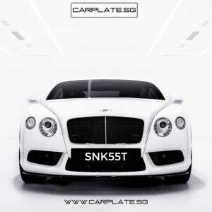 Carplate-SNK55T